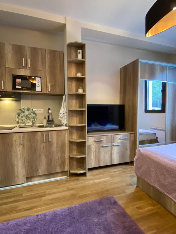 Sanstef Studio Zlatibor Extérieur photo