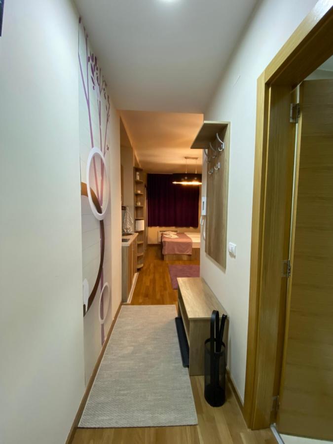 Sanstef Studio Zlatibor Extérieur photo